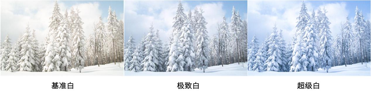 images/2021/09/08/155635574.jpg 图片5.jpg