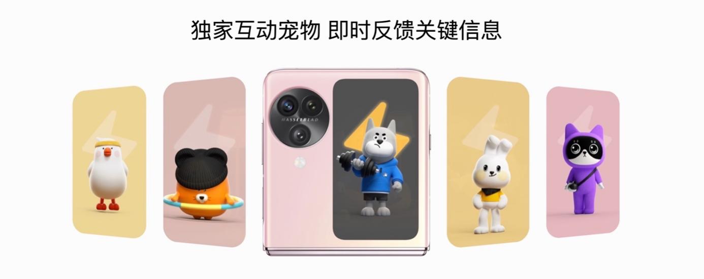 图片6.jpg