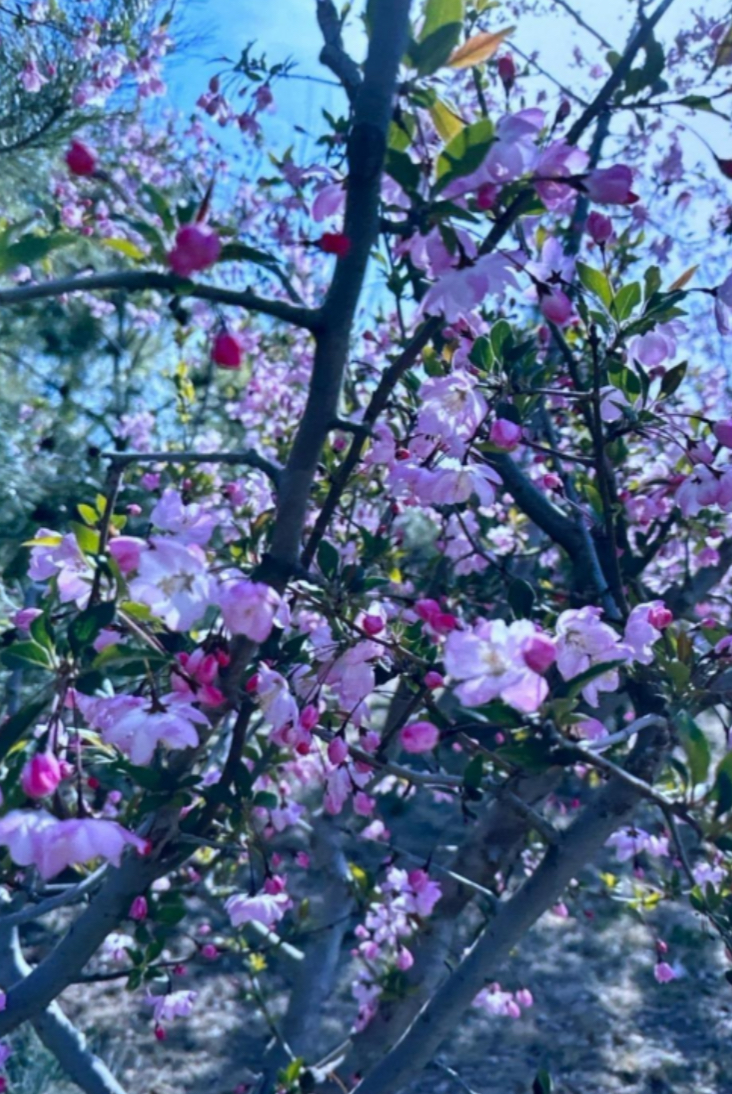 IMG_8797.jpeg