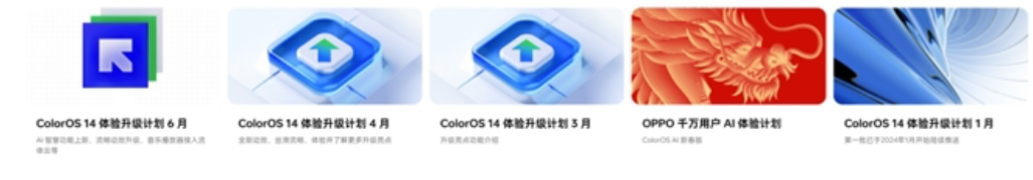 IMG_6299.jpeg