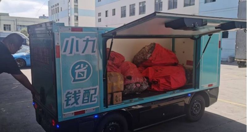 images/2025/09/09/135357296.jpeg IMG_6384.jpeg