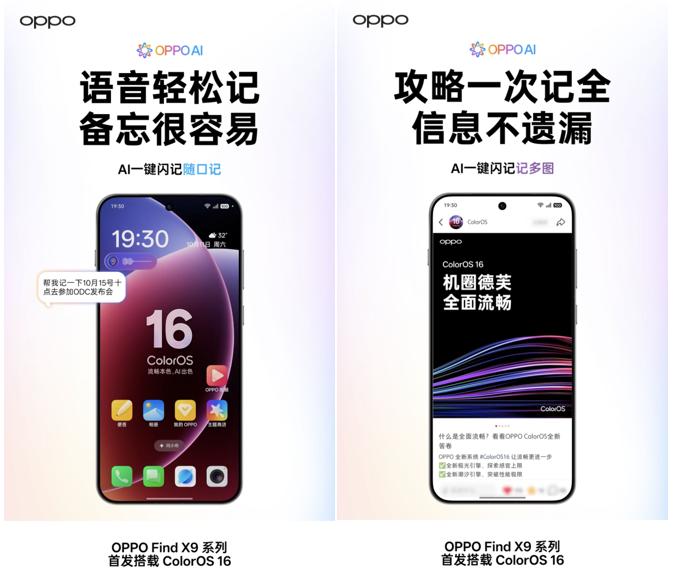 图片12.jpg