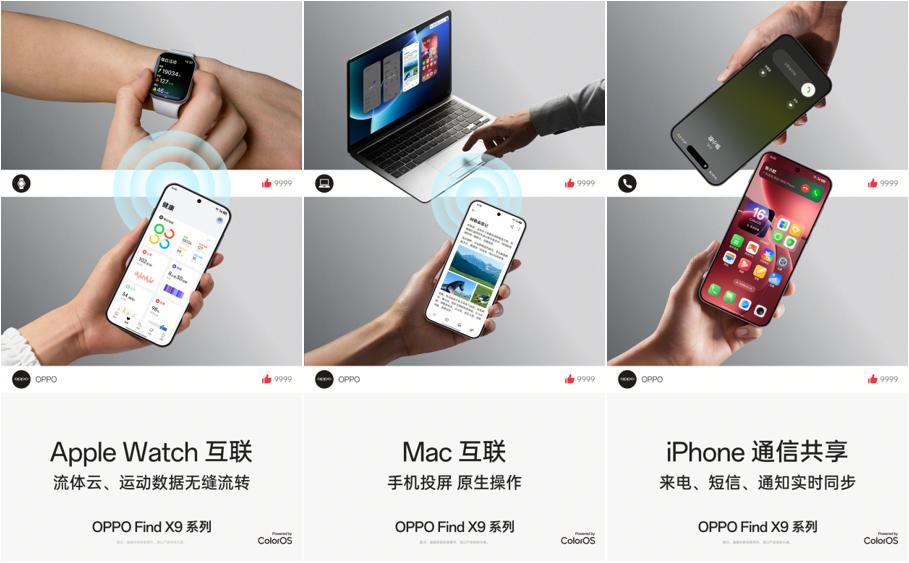 图片14.jpg