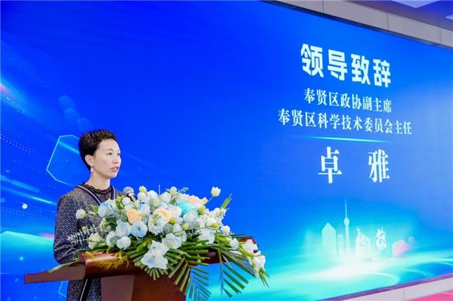 images/2025/11/12/120629455.jpeg IMG_8187.jpeg