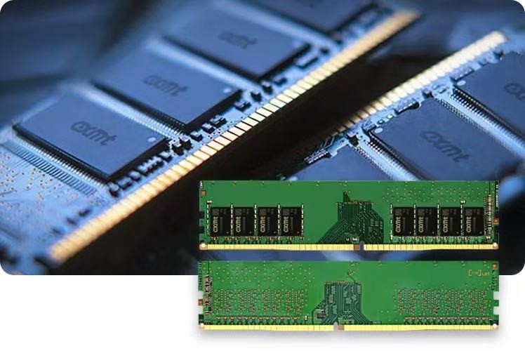 images/2025/11/15/103733561.jpeg IMG_8328.jpeg