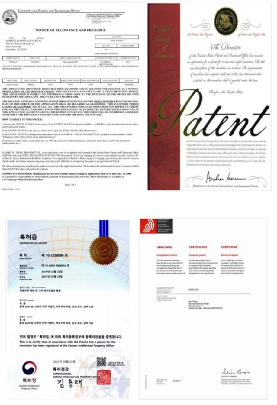 images/2025/11/15/151319914.jpeg IMG_8340.jpeg