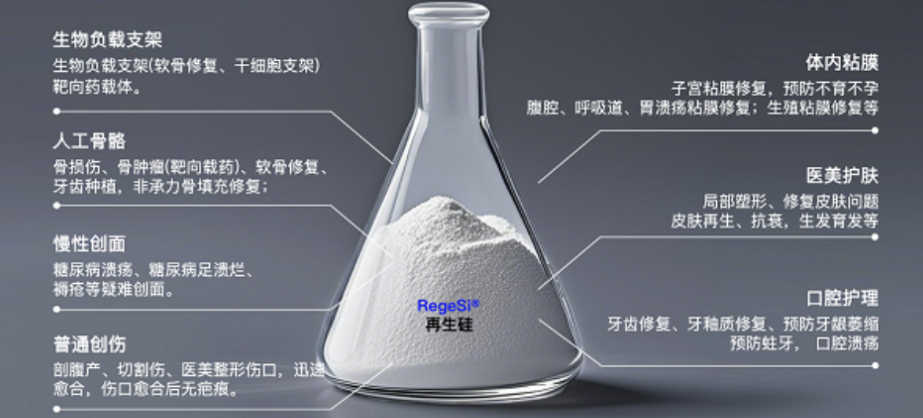 images/2025/11/15/151452271.jpeg IMG_8343.jpeg