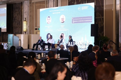 images/2025/11/20/160604691.jpeg IMG_8476.jpeg