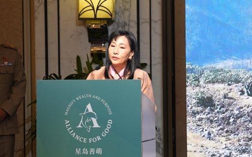 images/2025/11/20/160739856.jpeg IMG_8482.jpeg