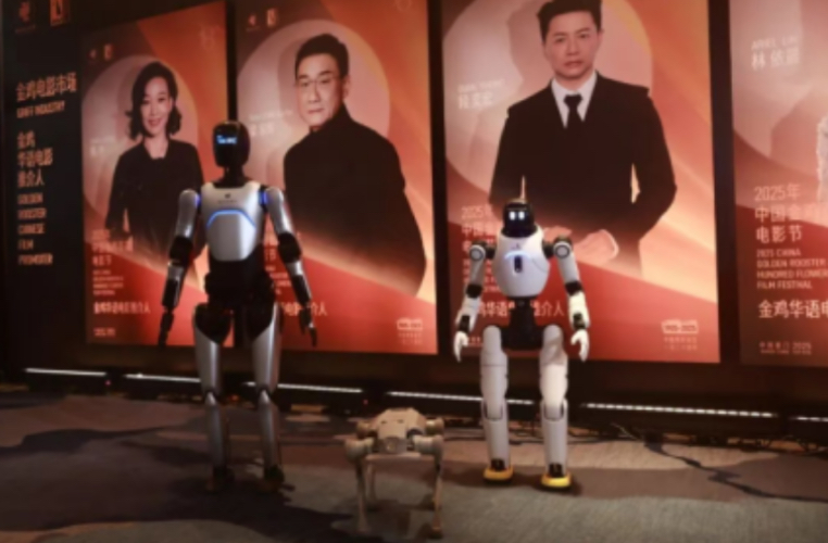 images/2025/11/21/161133234.jpeg IMG_8546.jpeg