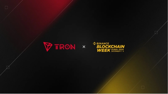 images/2025/12/11/175442419.jpeg IMG_9302.jpeg