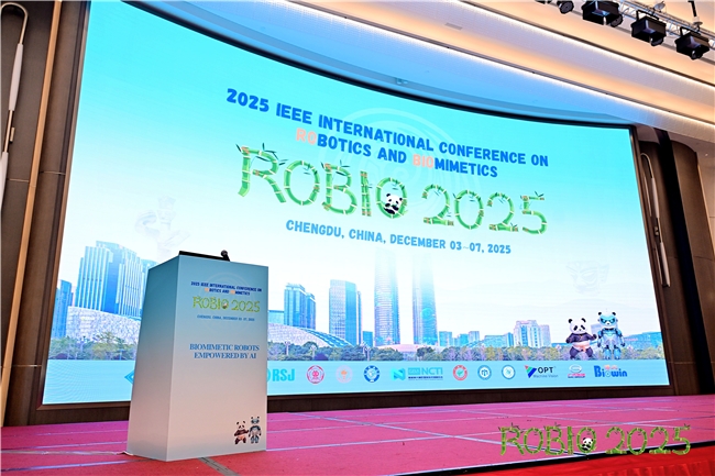 images/2025/12/12/150000226.jpeg 1.jpeg