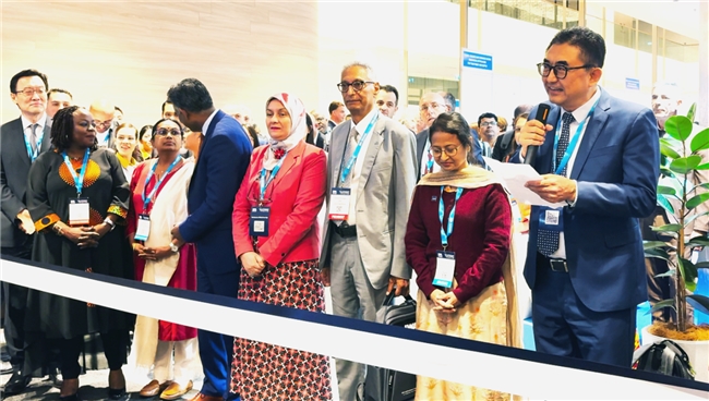 images/2025/12/15/140543524.jpeg IMG_9386.jpeg