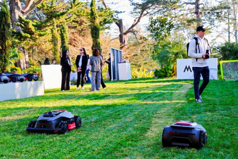 images/2026/01/16/140637424.jpeg IMG_0466.jpeg