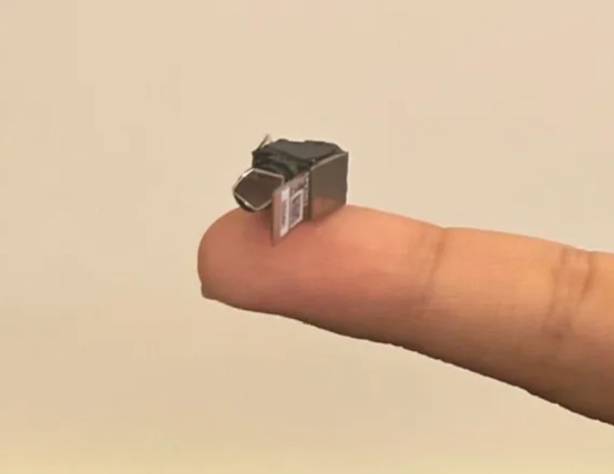 images/2026/01/29/145655648.jpeg IMG_0805.jpeg