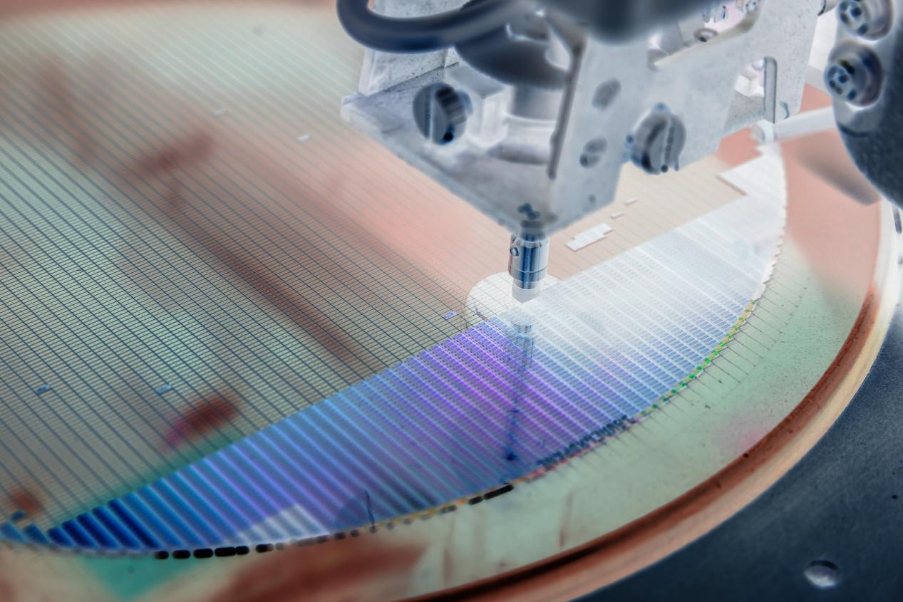 images/2026/02/01/104228269.jpeg IMG_0881.jpeg