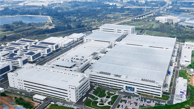 images/2026/02/02/153713131.jpeg IMG_0911.jpeg