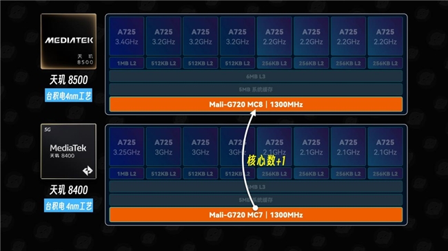 images/2026/02/06/135844955.jpeg IMG_1135.jpeg