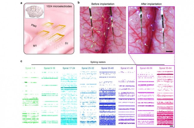 images/2026/02/09/100620336.jpeg IMG_1220.jpeg