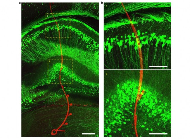 images/2026/02/09/100642585.jpeg IMG_1221.jpeg