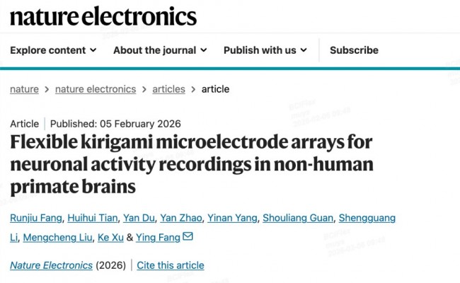 images/2026/02/09/100829234.jpeg IMG_1224.jpeg