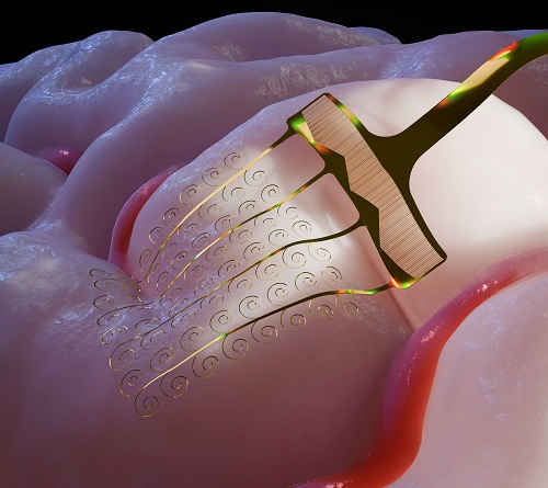 images/2026/02/09/100848671.jpeg IMG_1225.jpeg