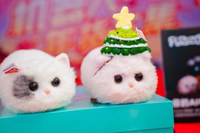 images/2026/02/14/145341695.jpeg IMG_1543.jpeg