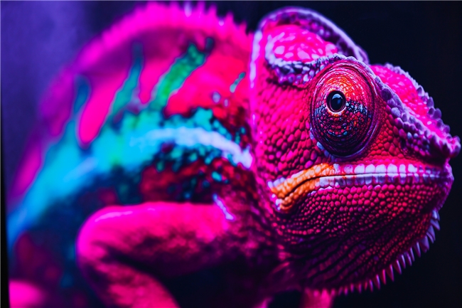 images/2026/03/28/160633999.jpeg IMG_3277.jpeg