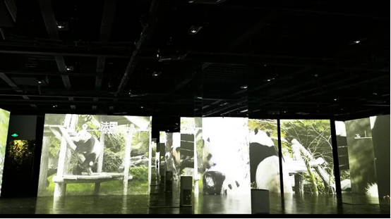 IMG_7626.png